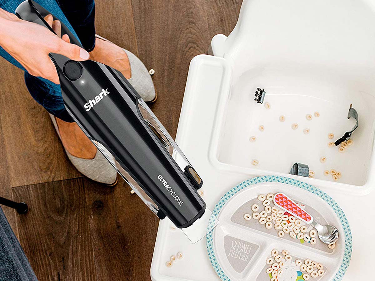 10 Best Handheld Vacuum for Cat Litter in 2024 (Ultimate Guide)