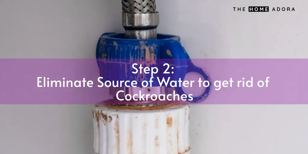 Eliminate Source of Water to get rid of Cockroaches