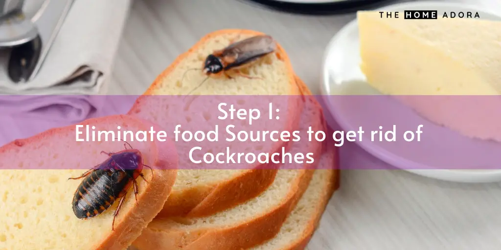 Eliminate food Sources to get rid of Cockroaches