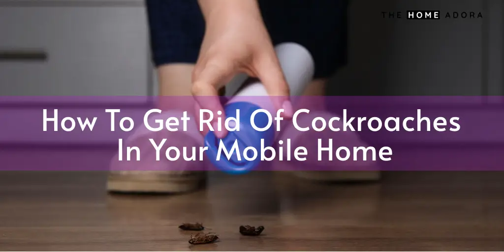 How To Get Rid Of Cockroaches In Your Mobile Home