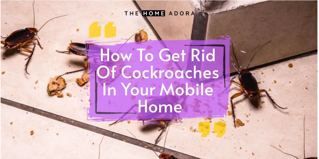 How To Get Rid Of Cockroaches In Your Mobile Home