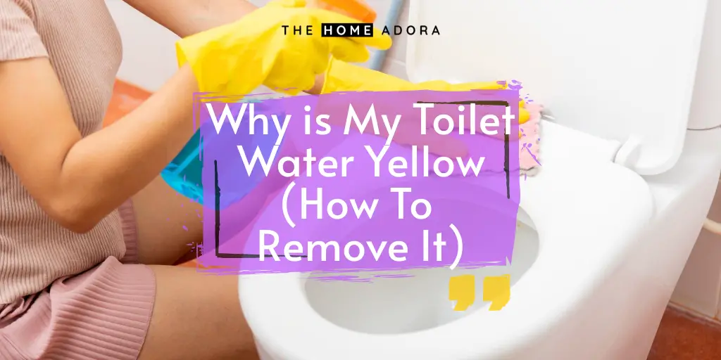 Why is My Toilet Water Yellow